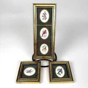 Feathered Friends Heartfelt Collection Bird Art Framed Prints Gold Frames With T